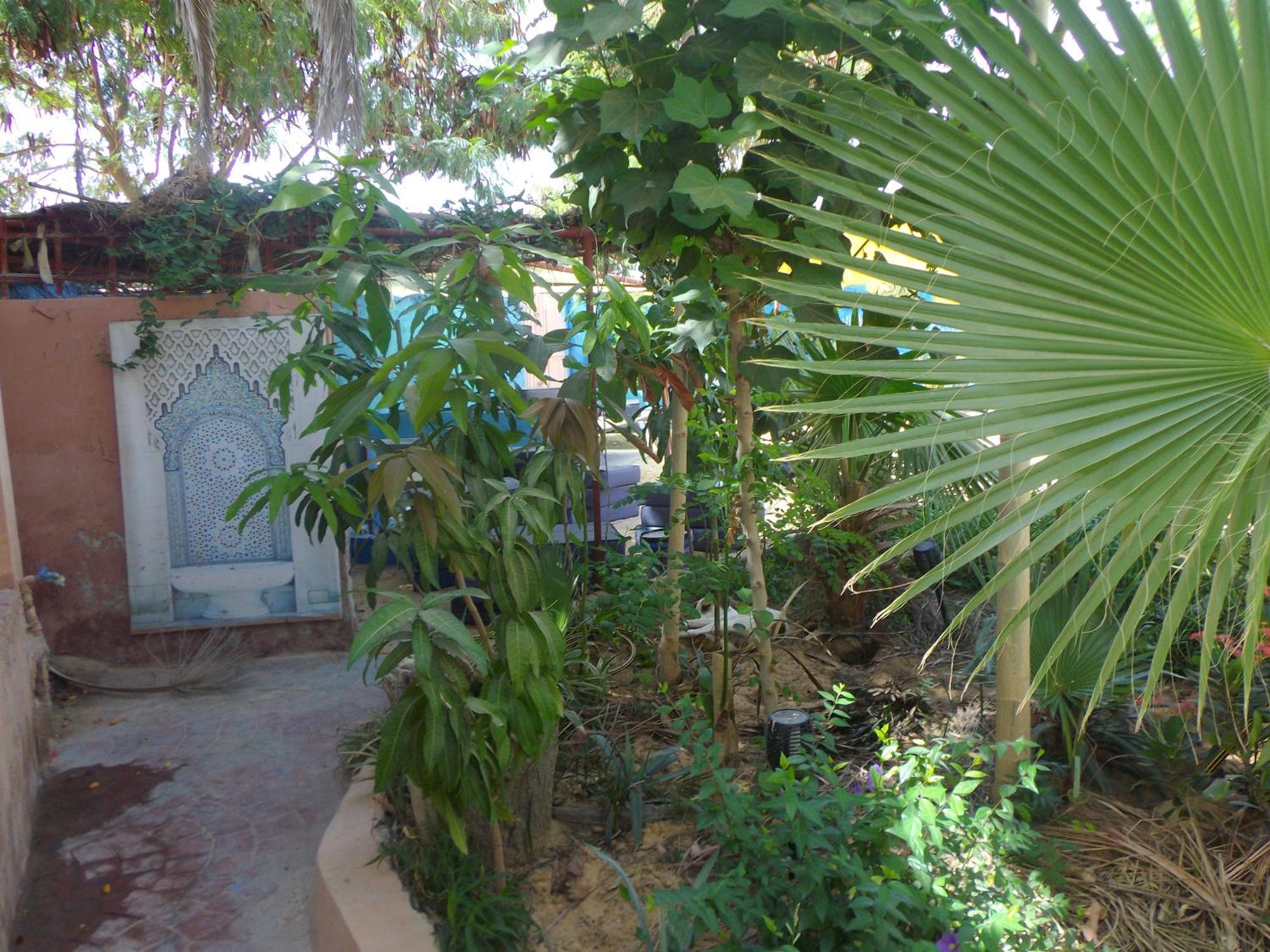 נואקשוט Auberge Triskell מראה חיצוני תמונה
